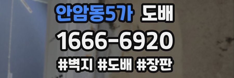 안암동5가 도배