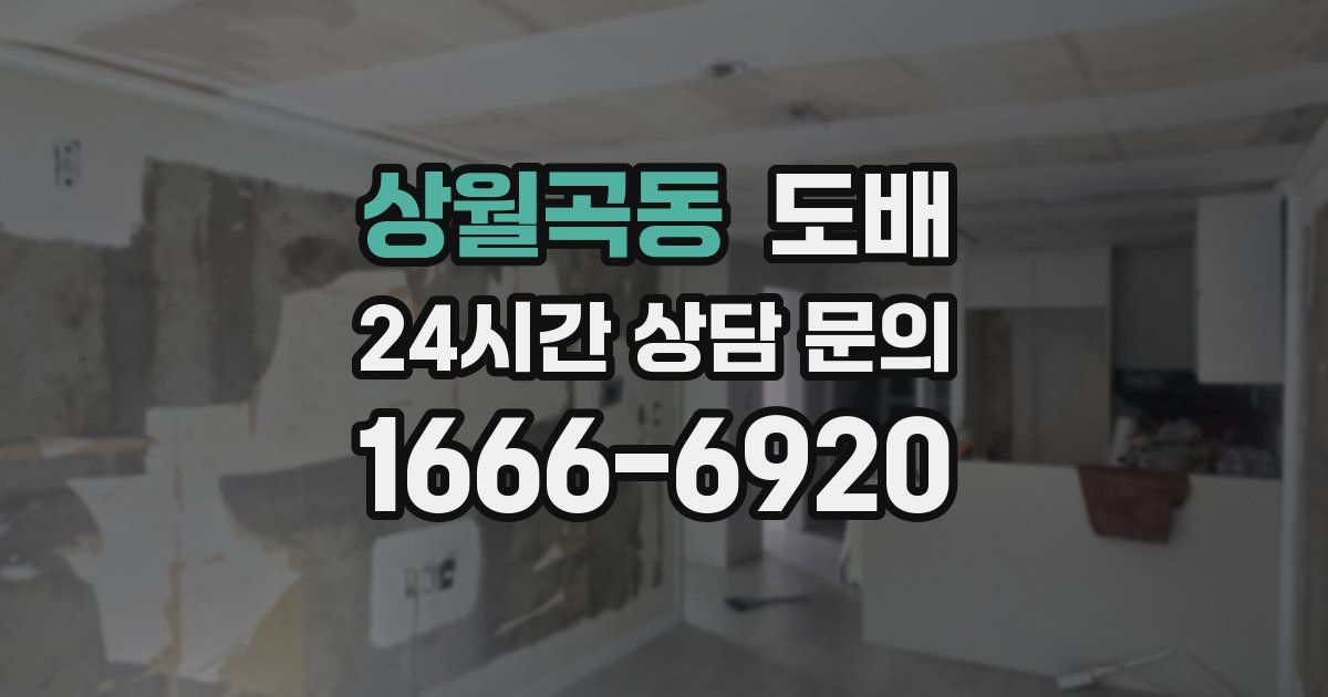 상월곡동 도배