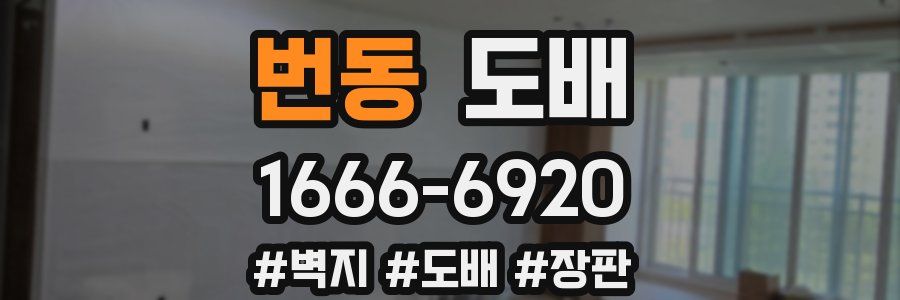 번동 도배