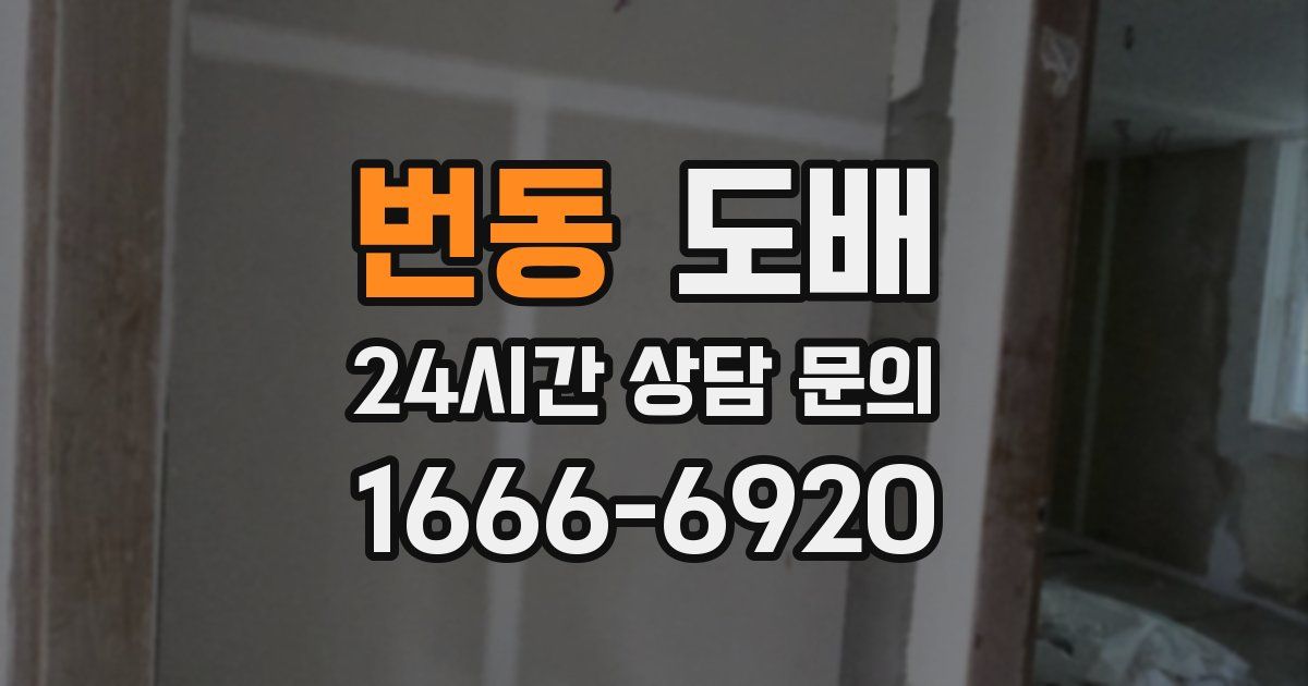 번동 도배