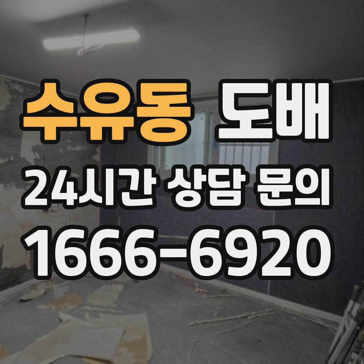 수유동 도배