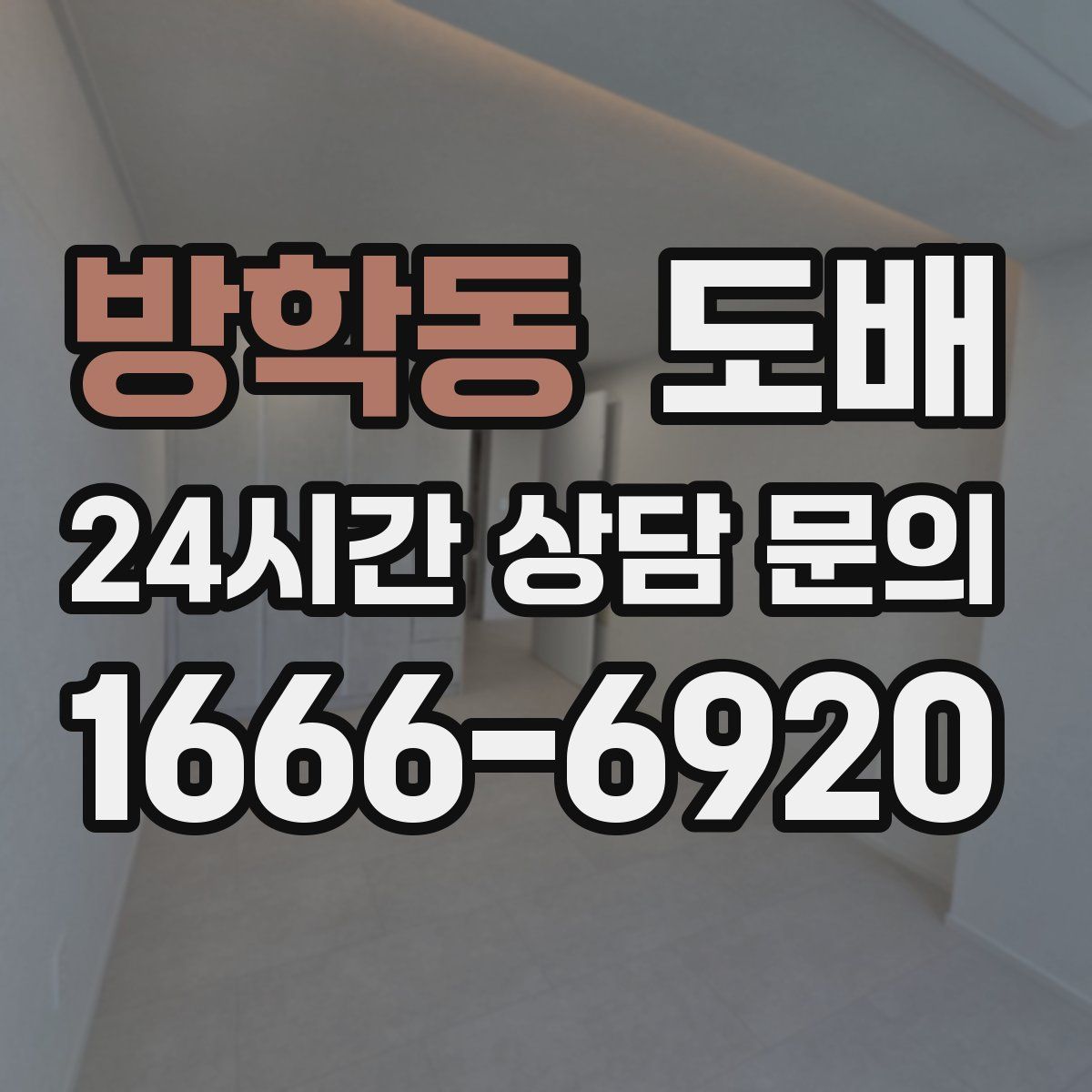 방학동 도배