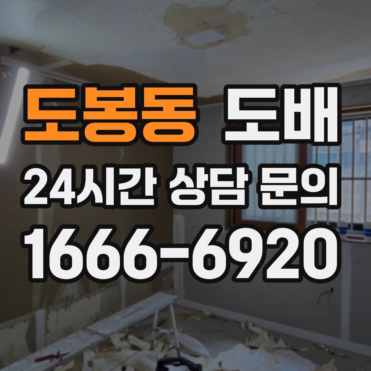 도봉동 도배