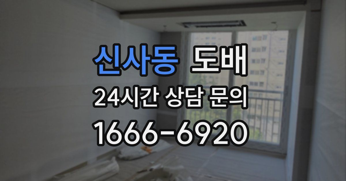 신사동 도배