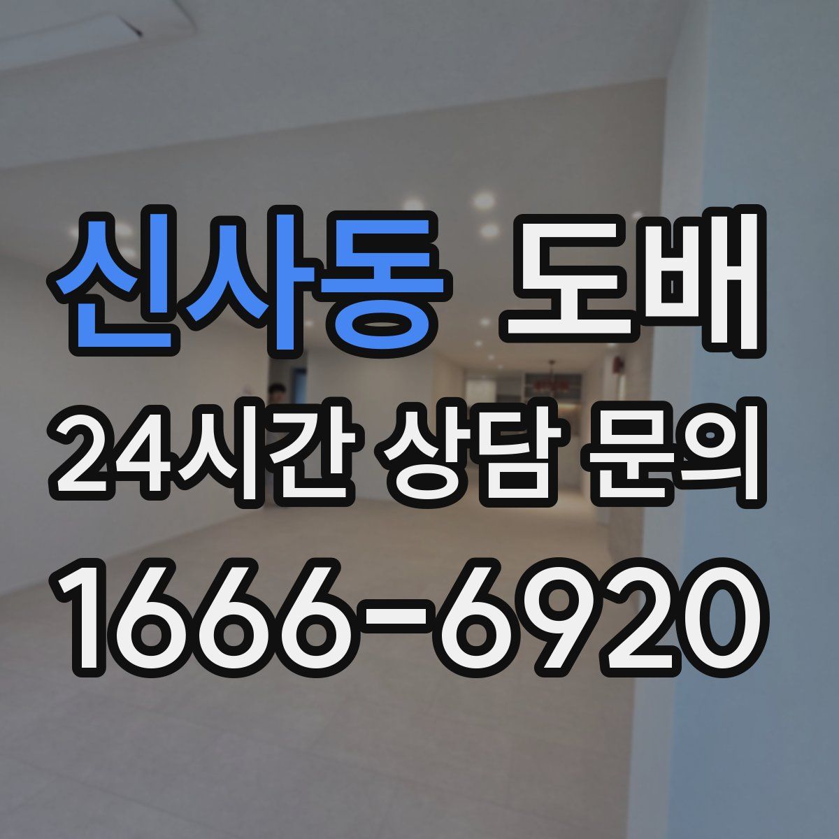 신사동 도배
