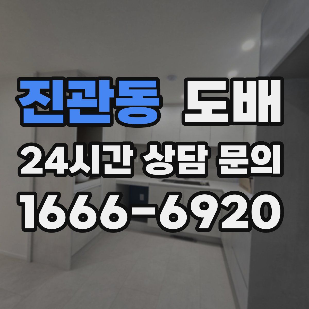 진관동 도배