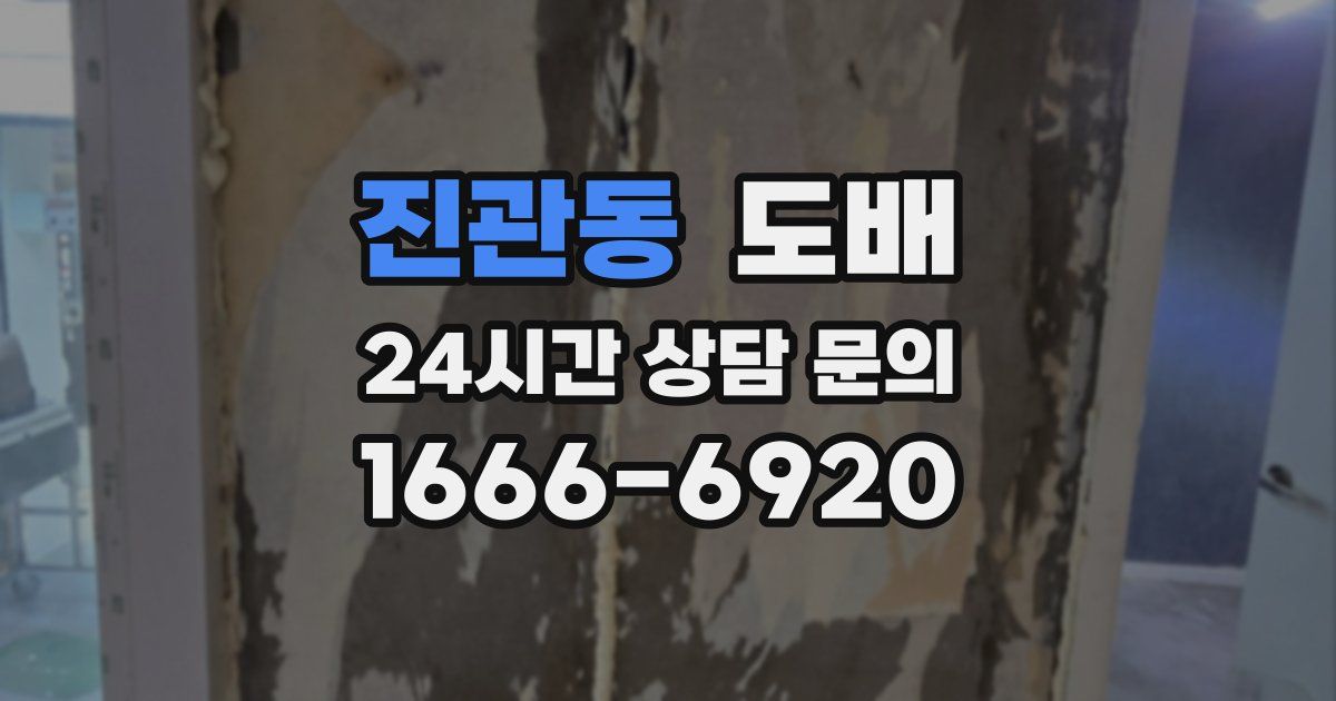 진관동 도배