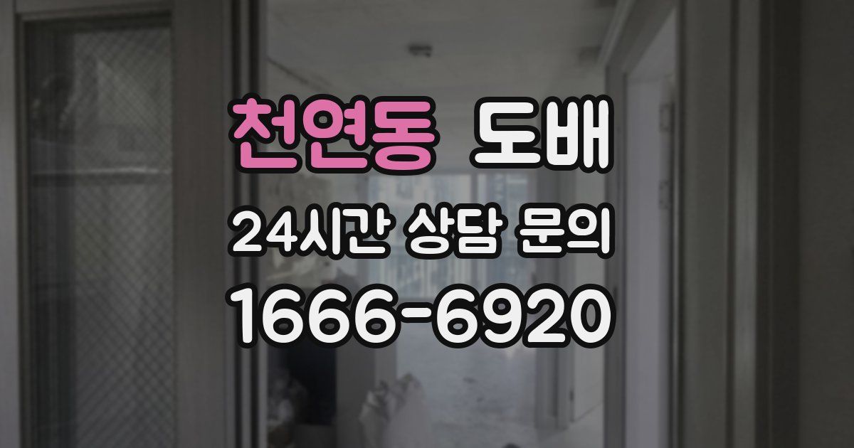 천연동 도배