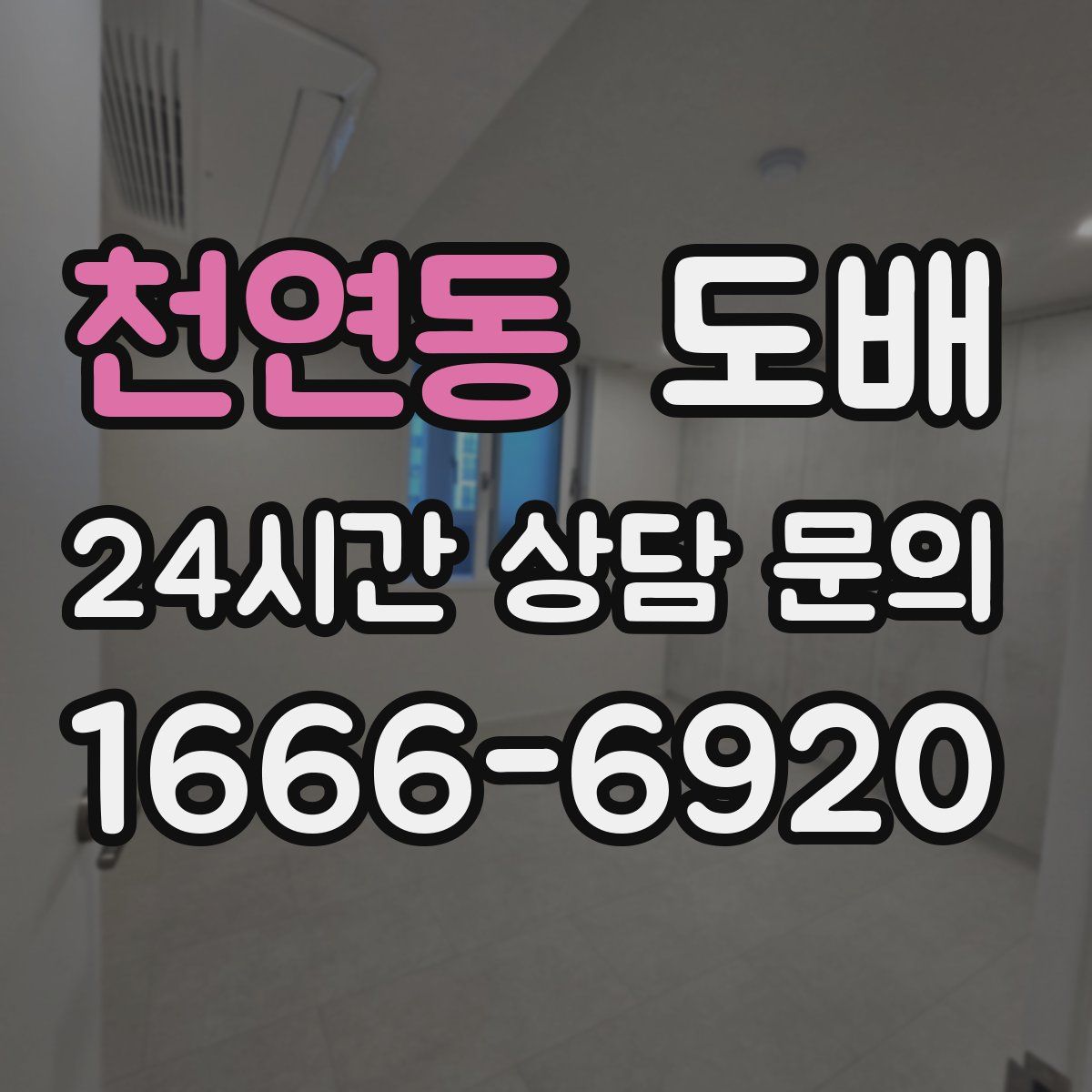 천연동 도배