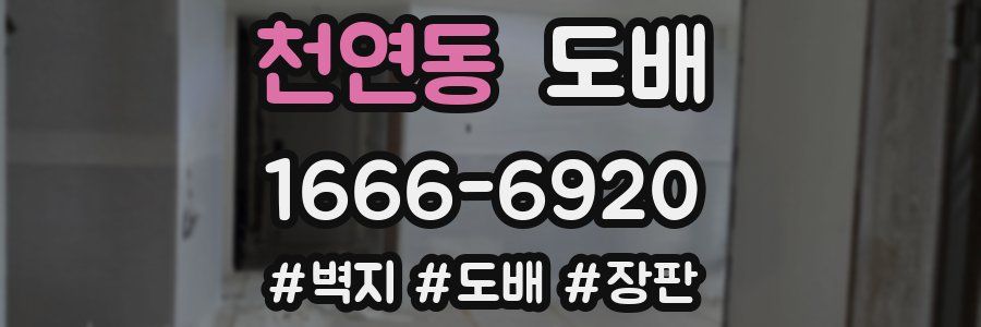 천연동 도배
