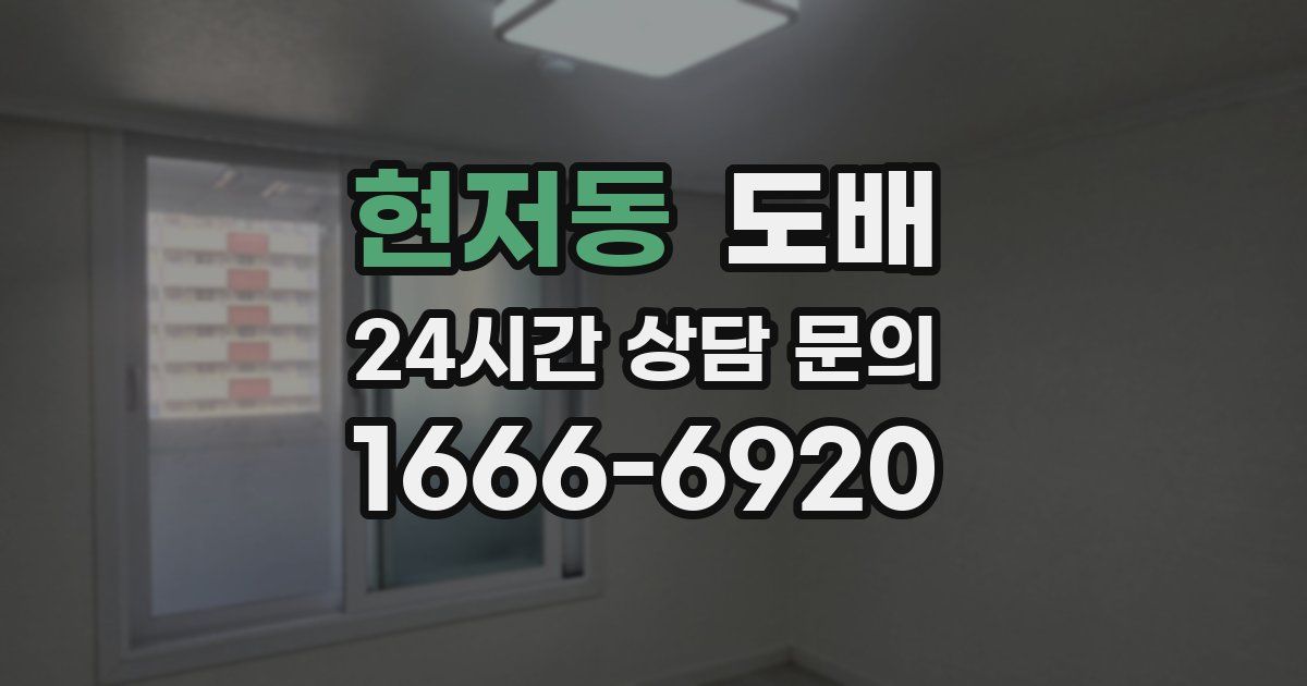 현저동 도배