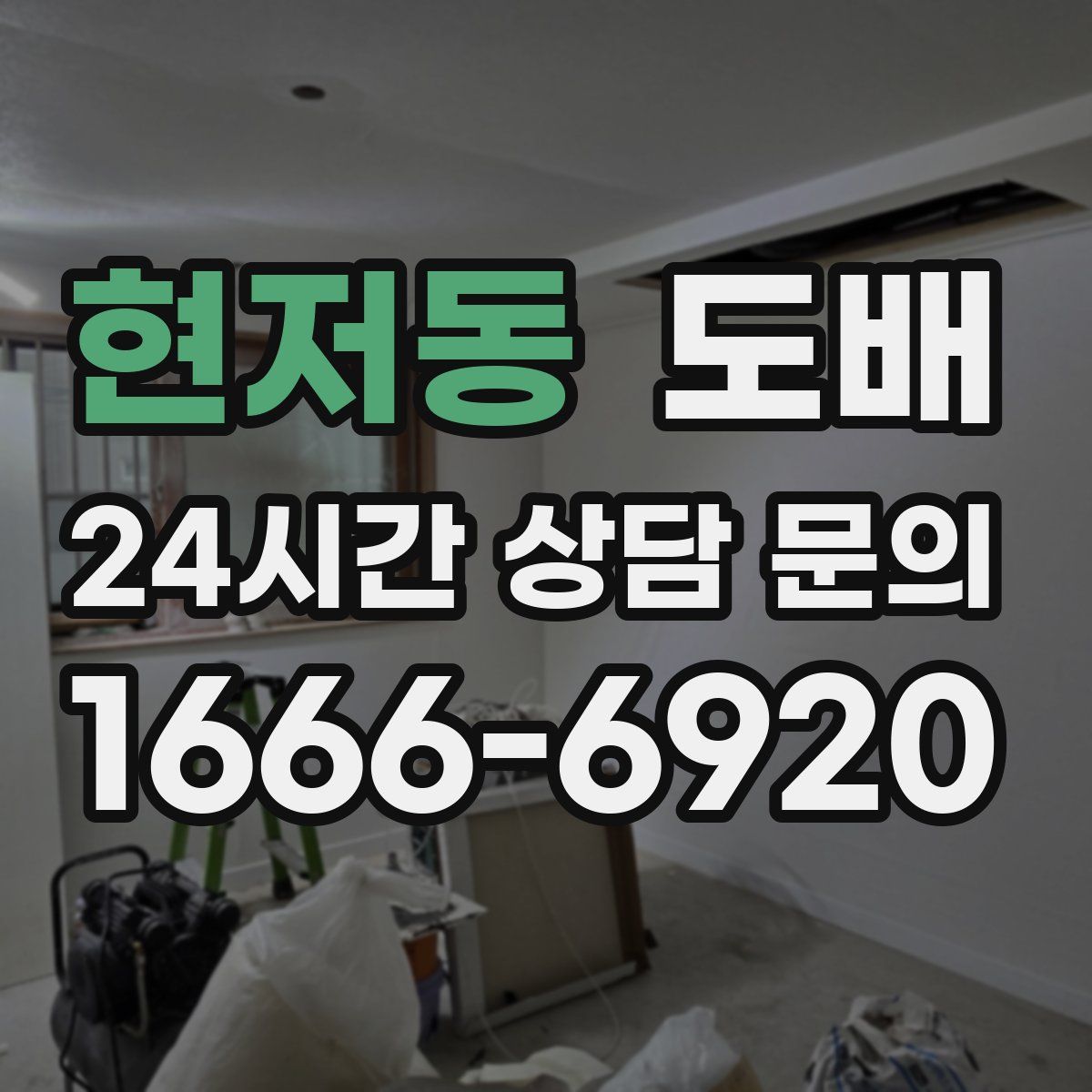 현저동 도배