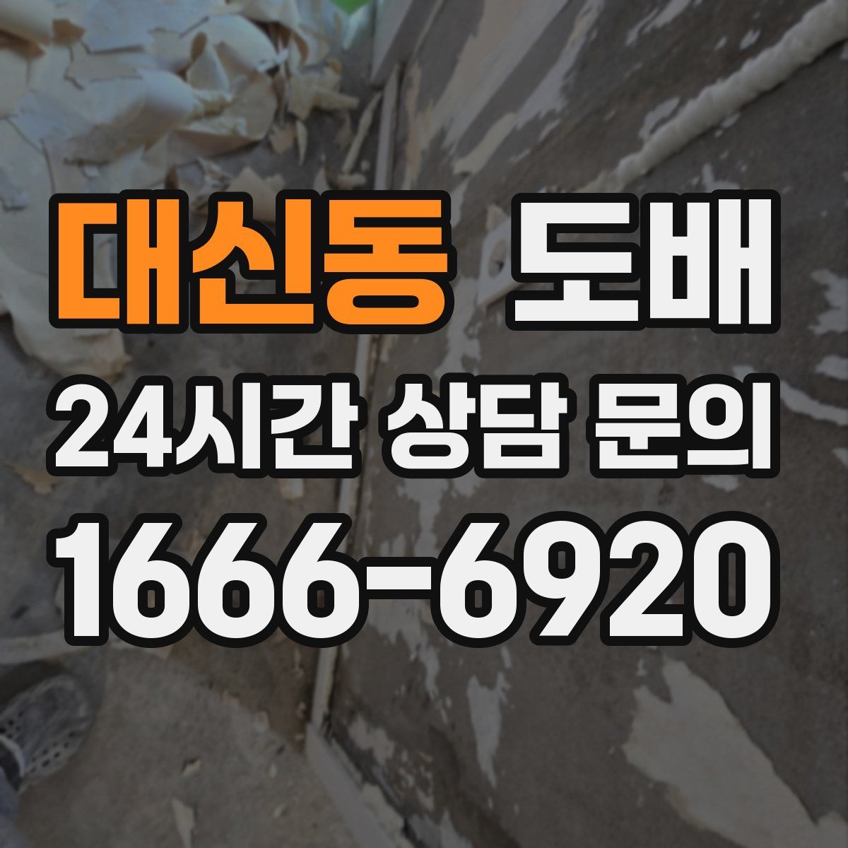 대신동 도배