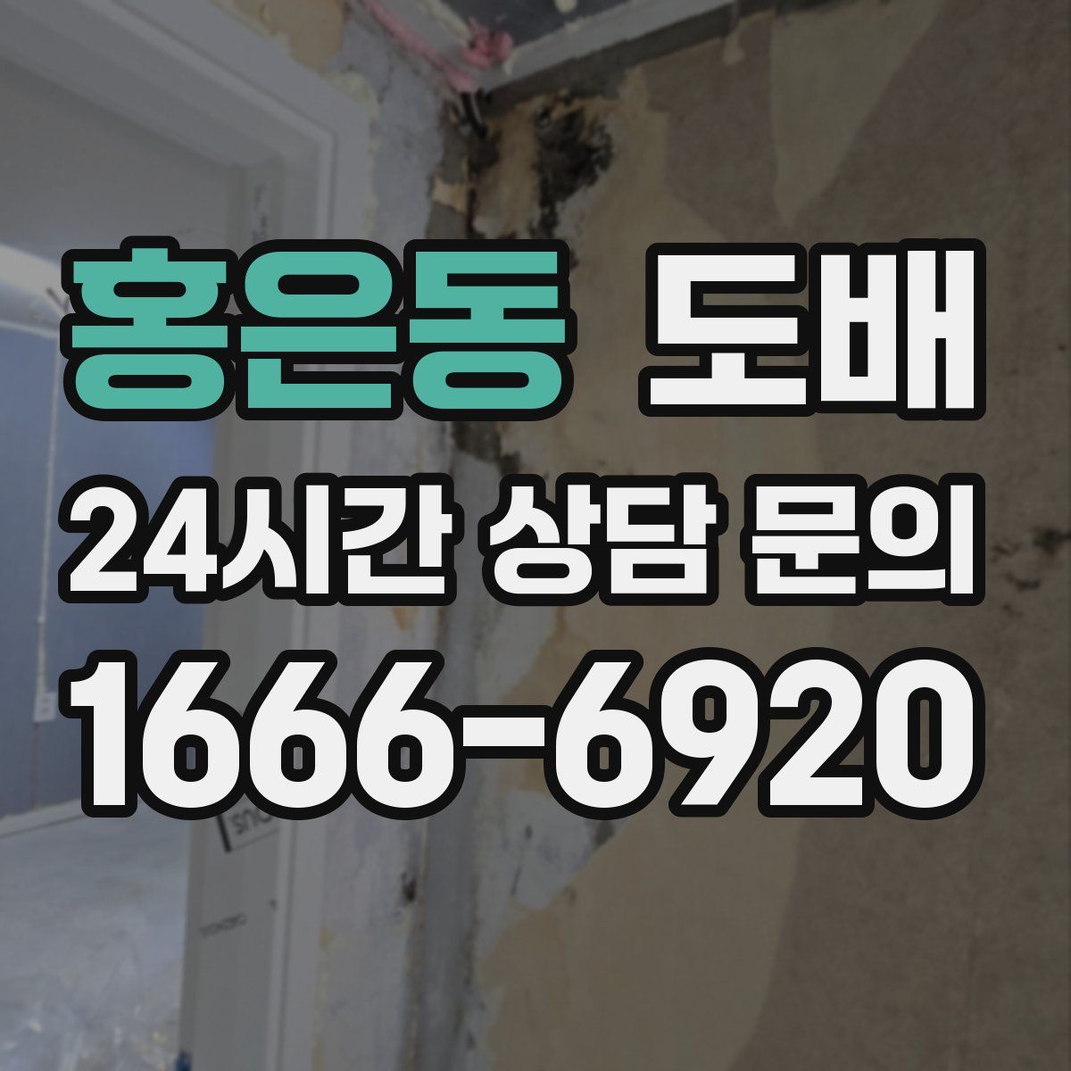 홍은동 도배
