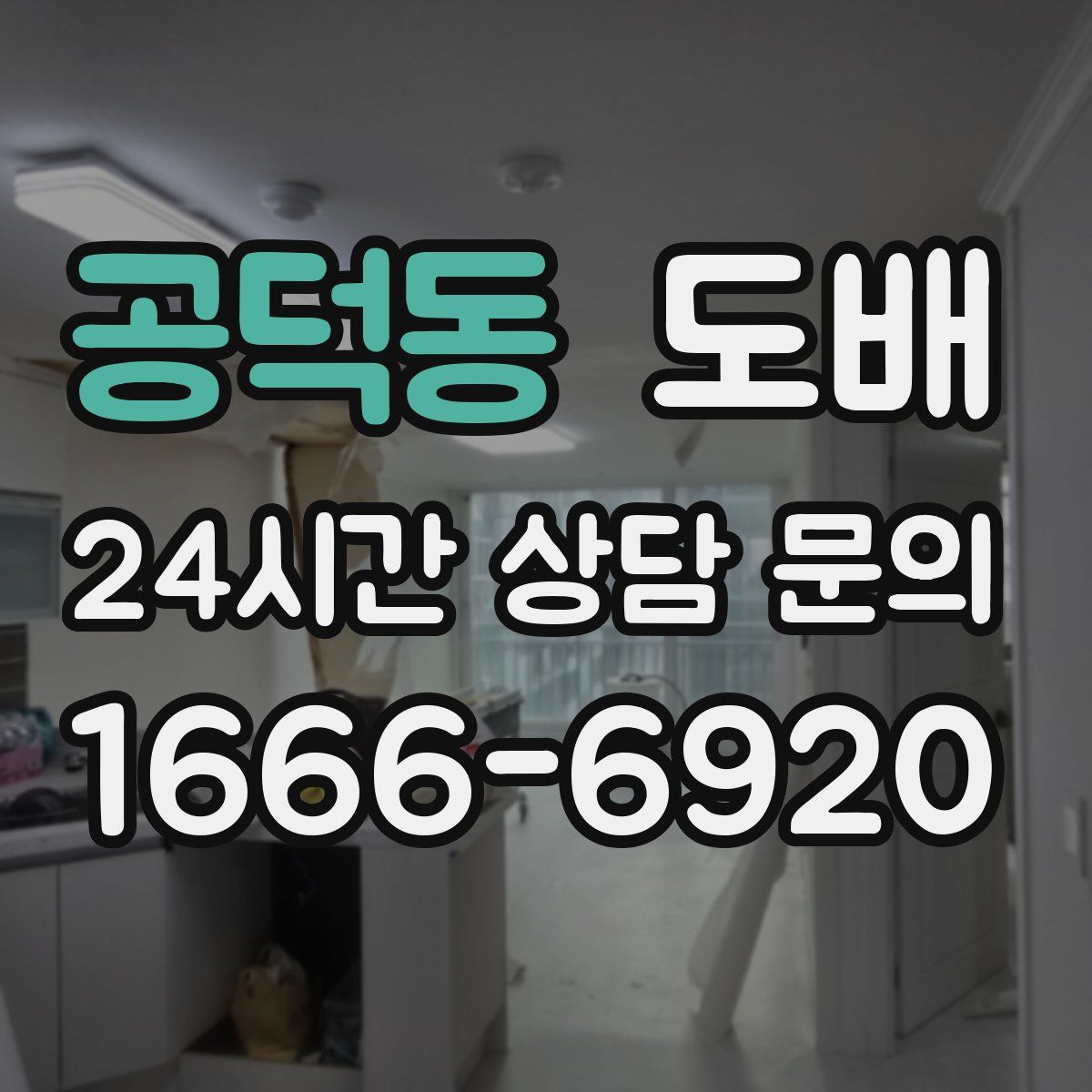 공덕동 도배