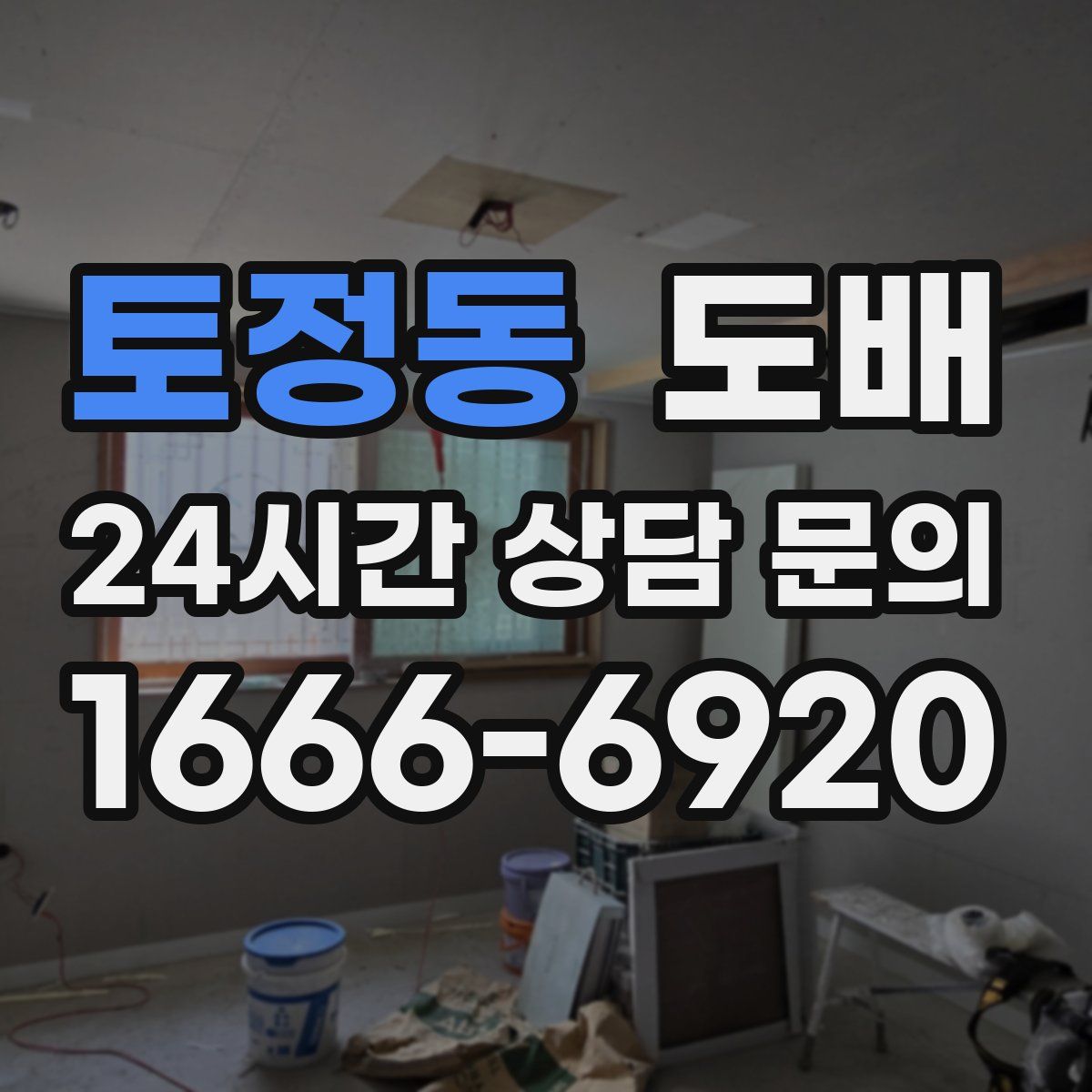 토정동 도배