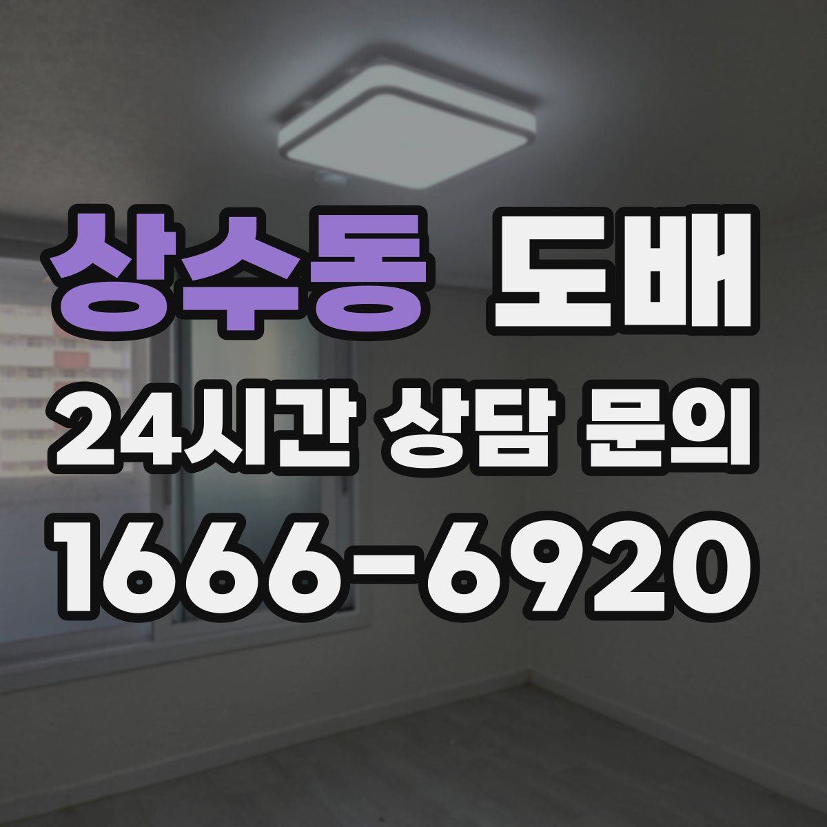 상수동 도배