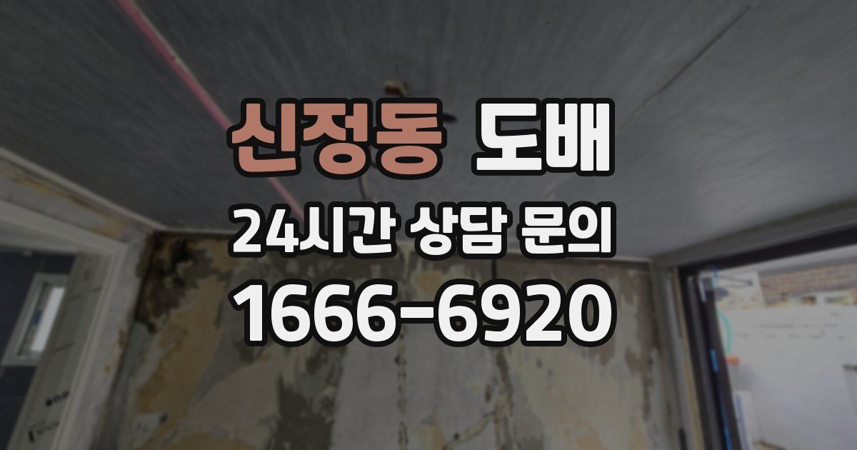 신정동 도배