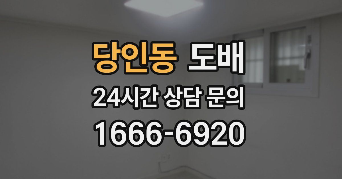 당인동 도배