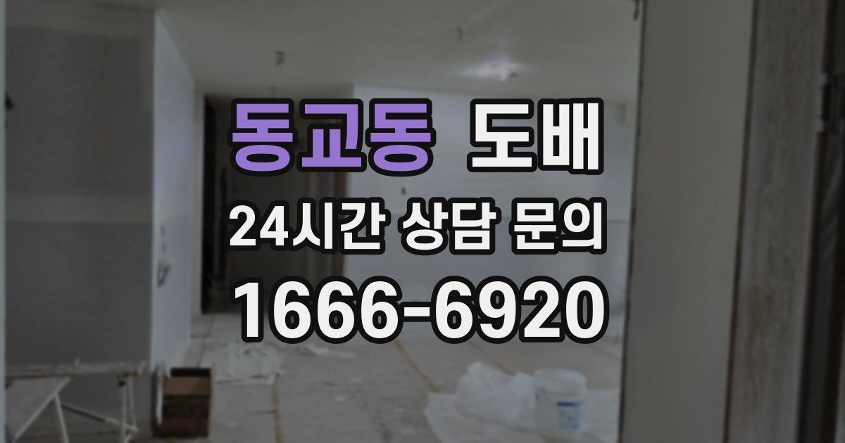 동교동 도배
