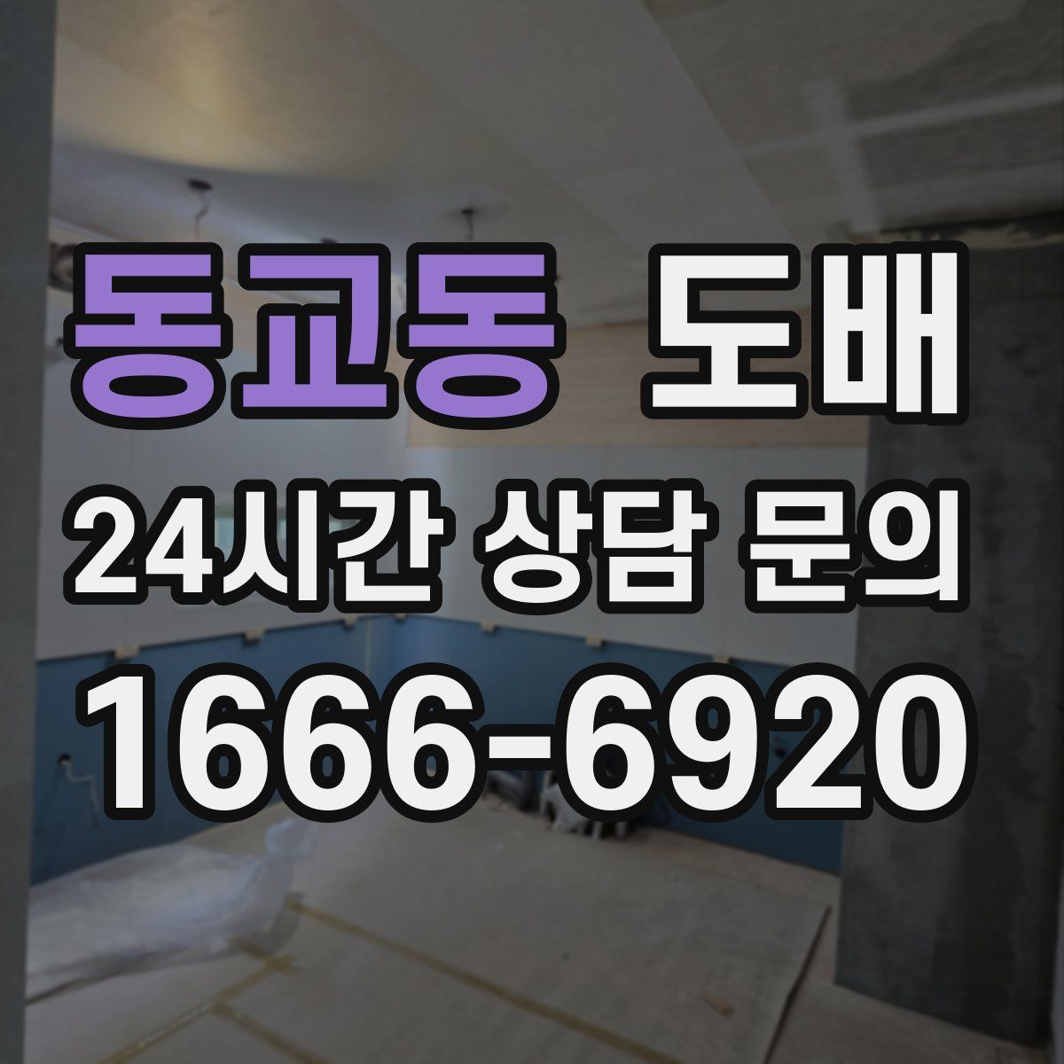동교동 도배
