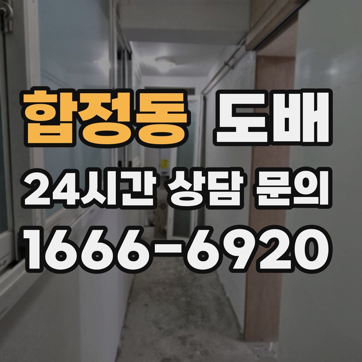 합정동 도배