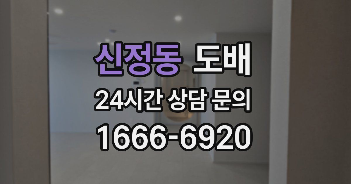 신정동 도배