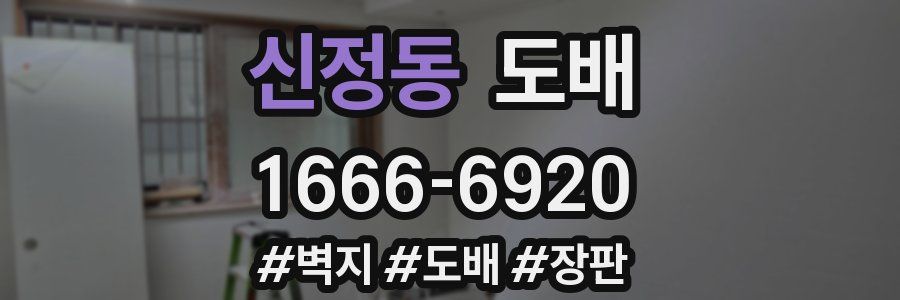 신정동 도배