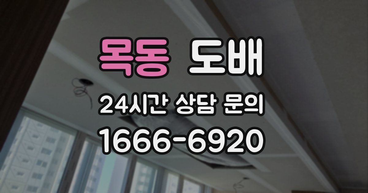 목동 도배