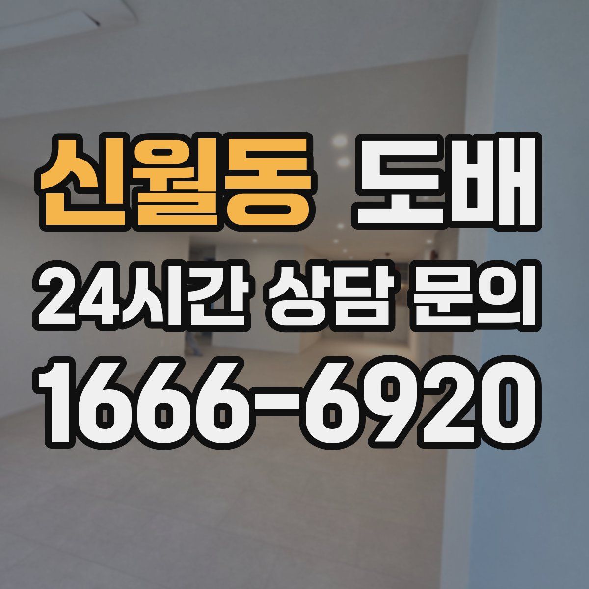 신월동 도배