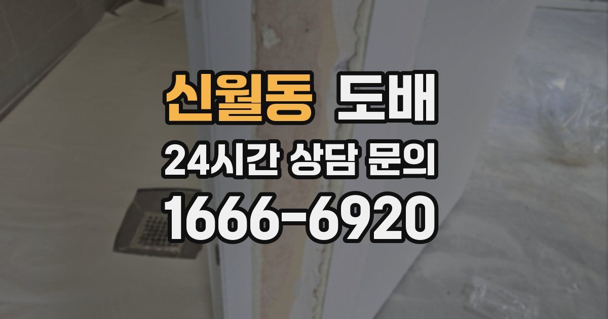 신월동 도배