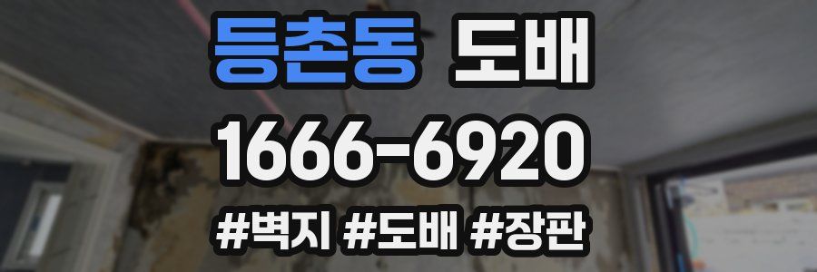 등촌동 도배
