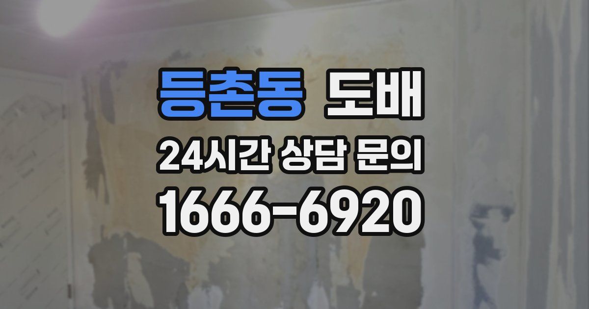 등촌동 도배