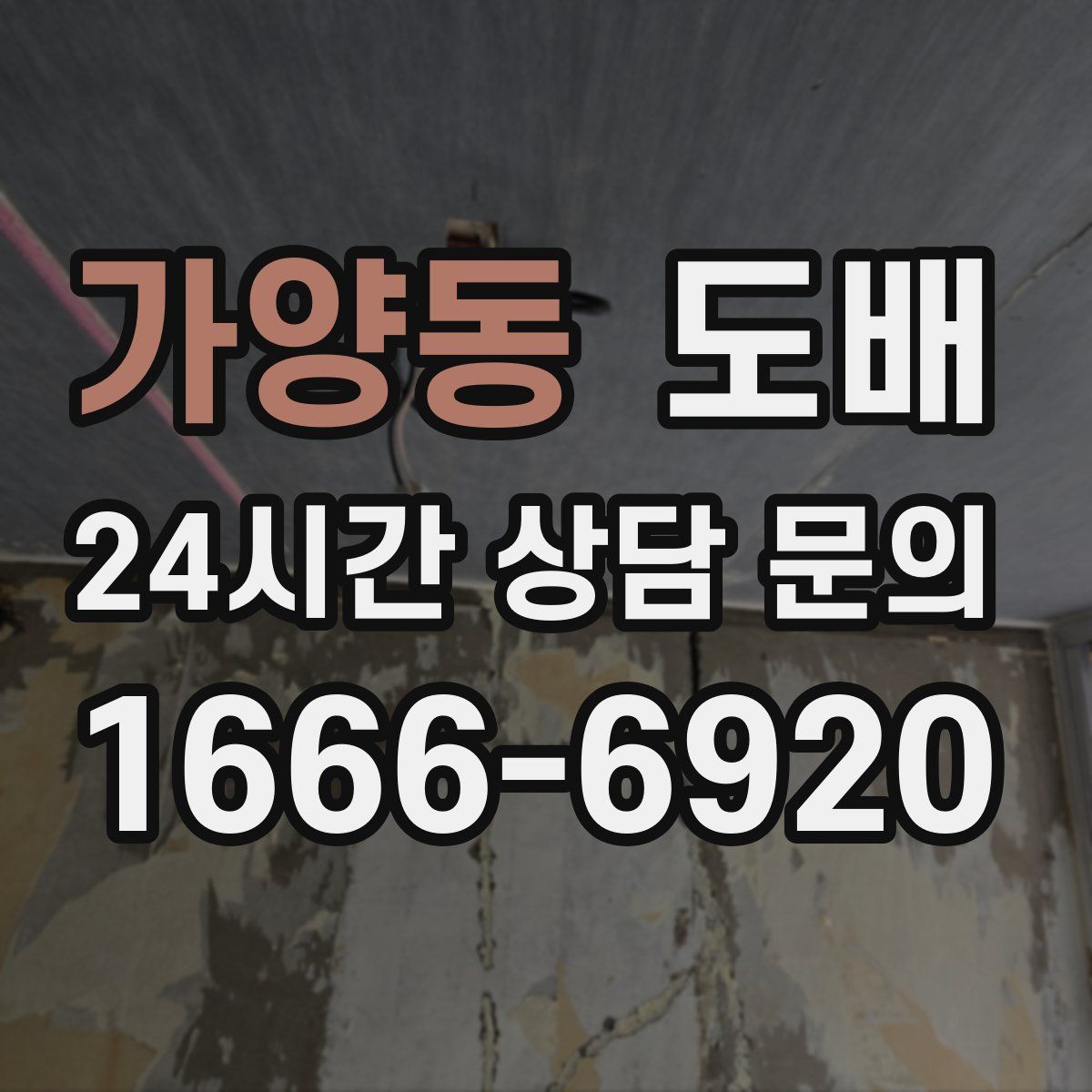 가양동 도배