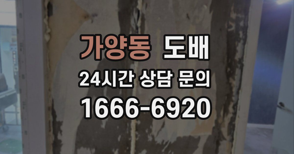 가양동 도배