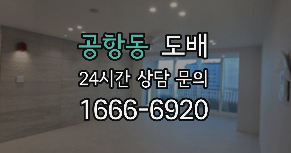 공항동 도배