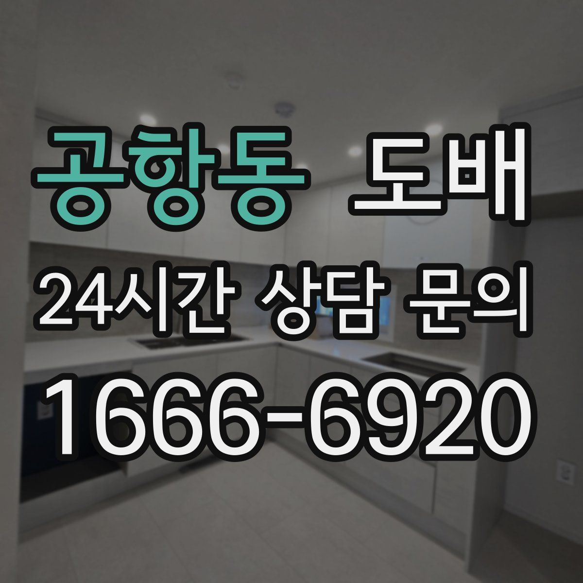 공항동 도배