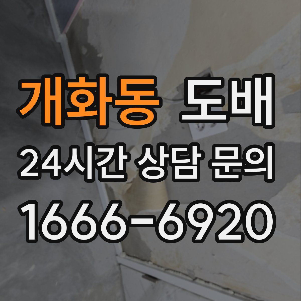 개화동 도배