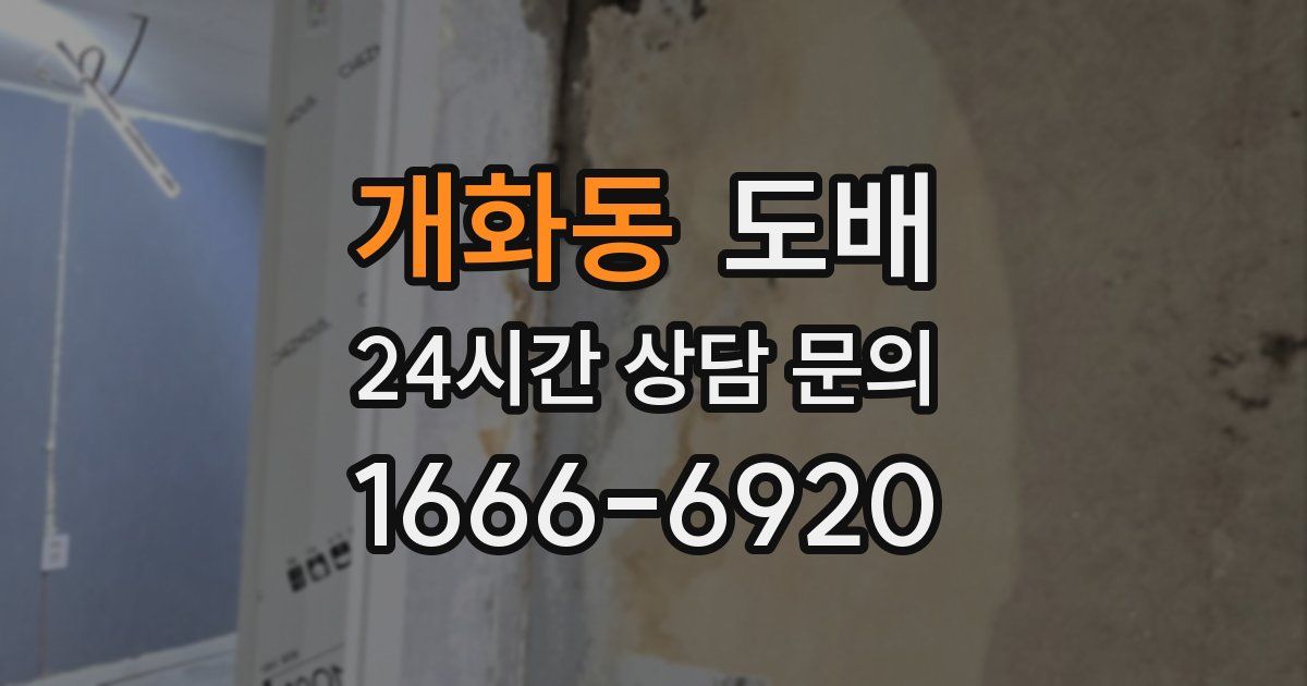 개화동 도배