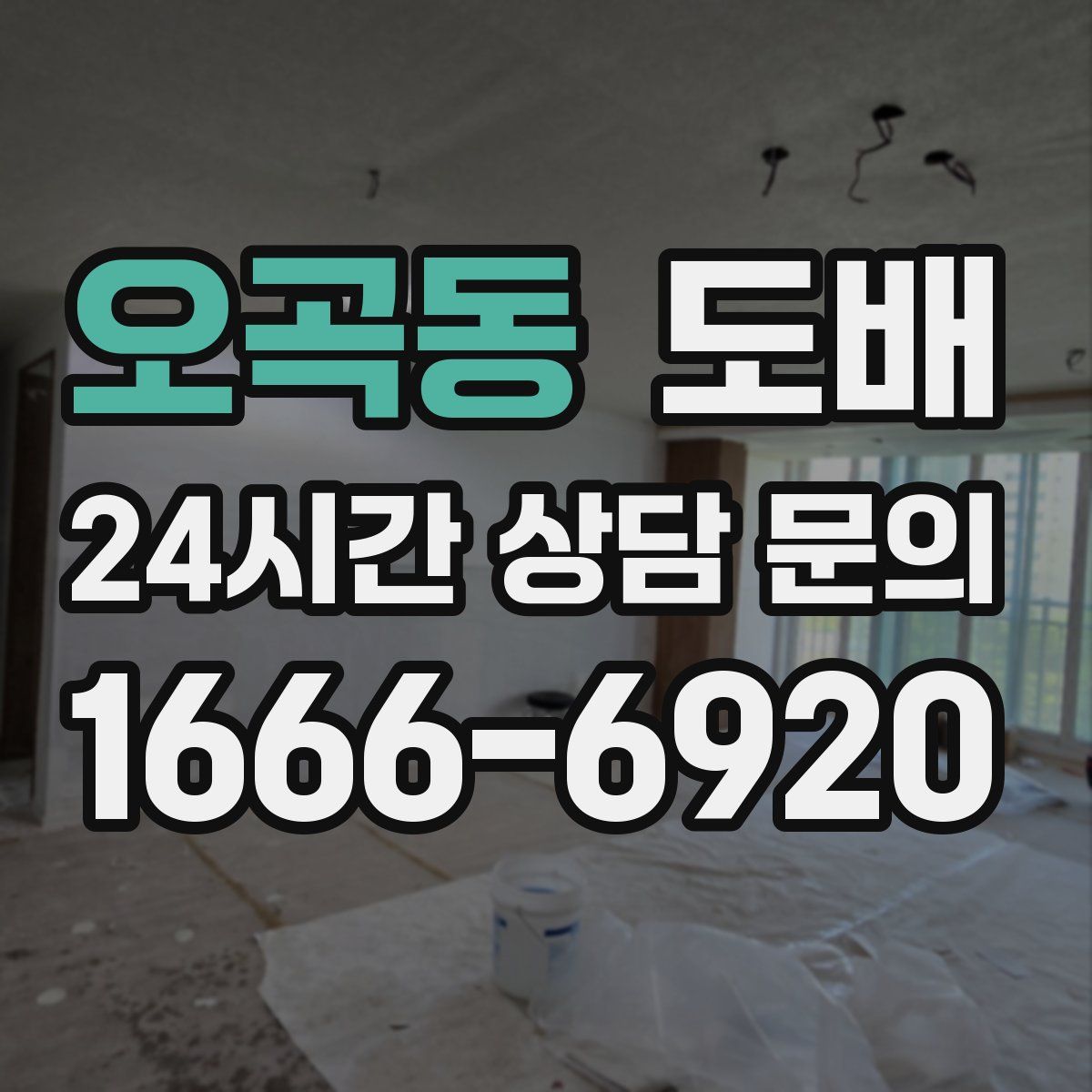 오곡동 도배
