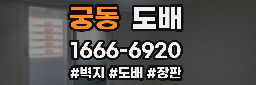 궁동 도배