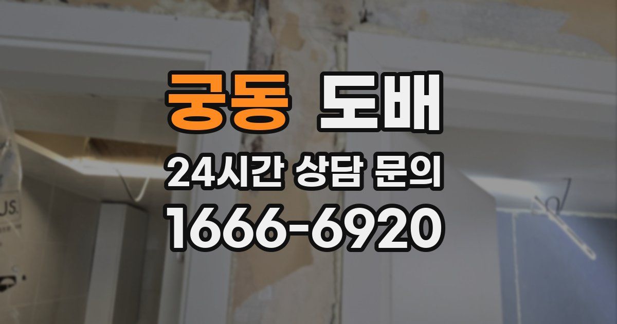 궁동 도배