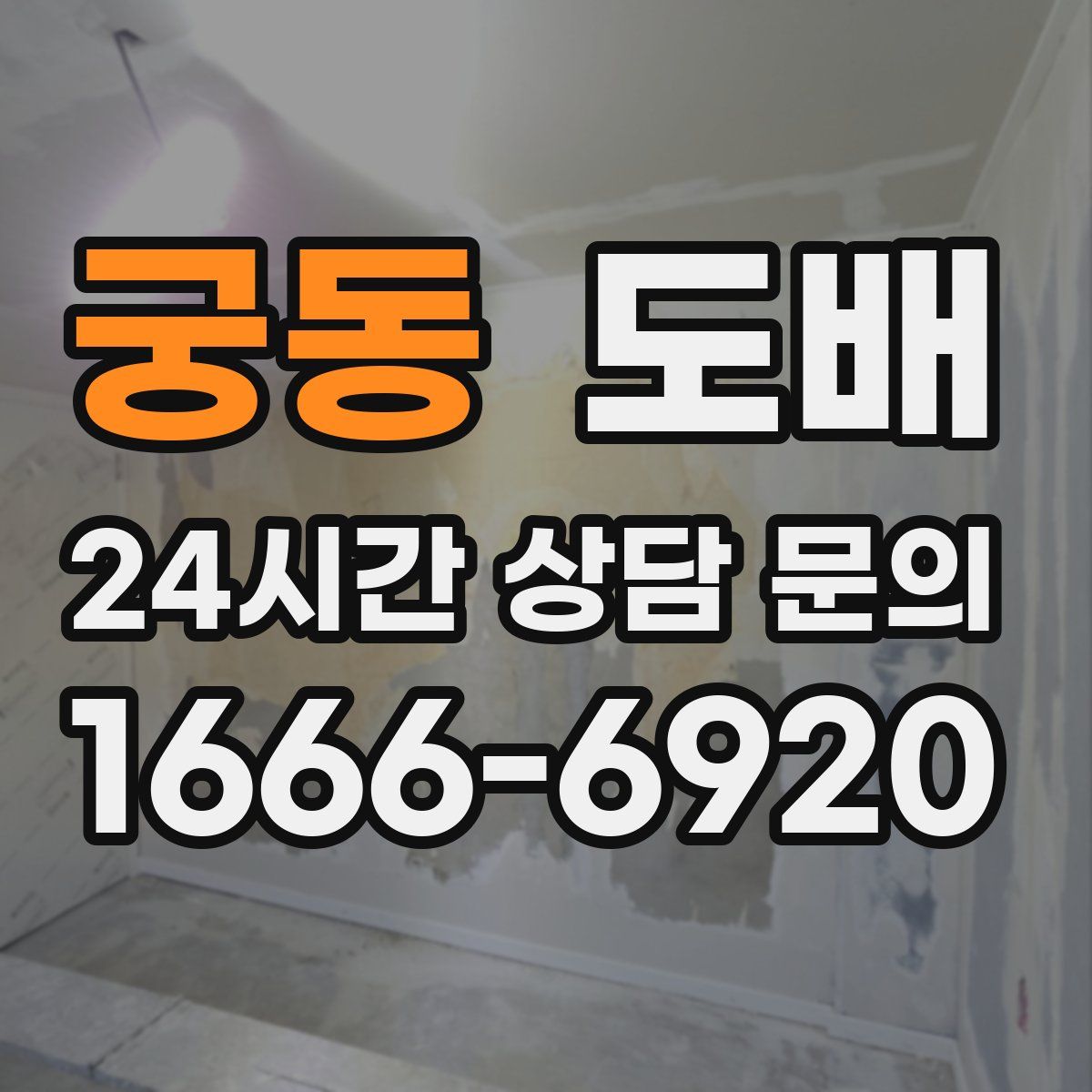 궁동 도배