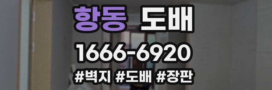 항동 도배