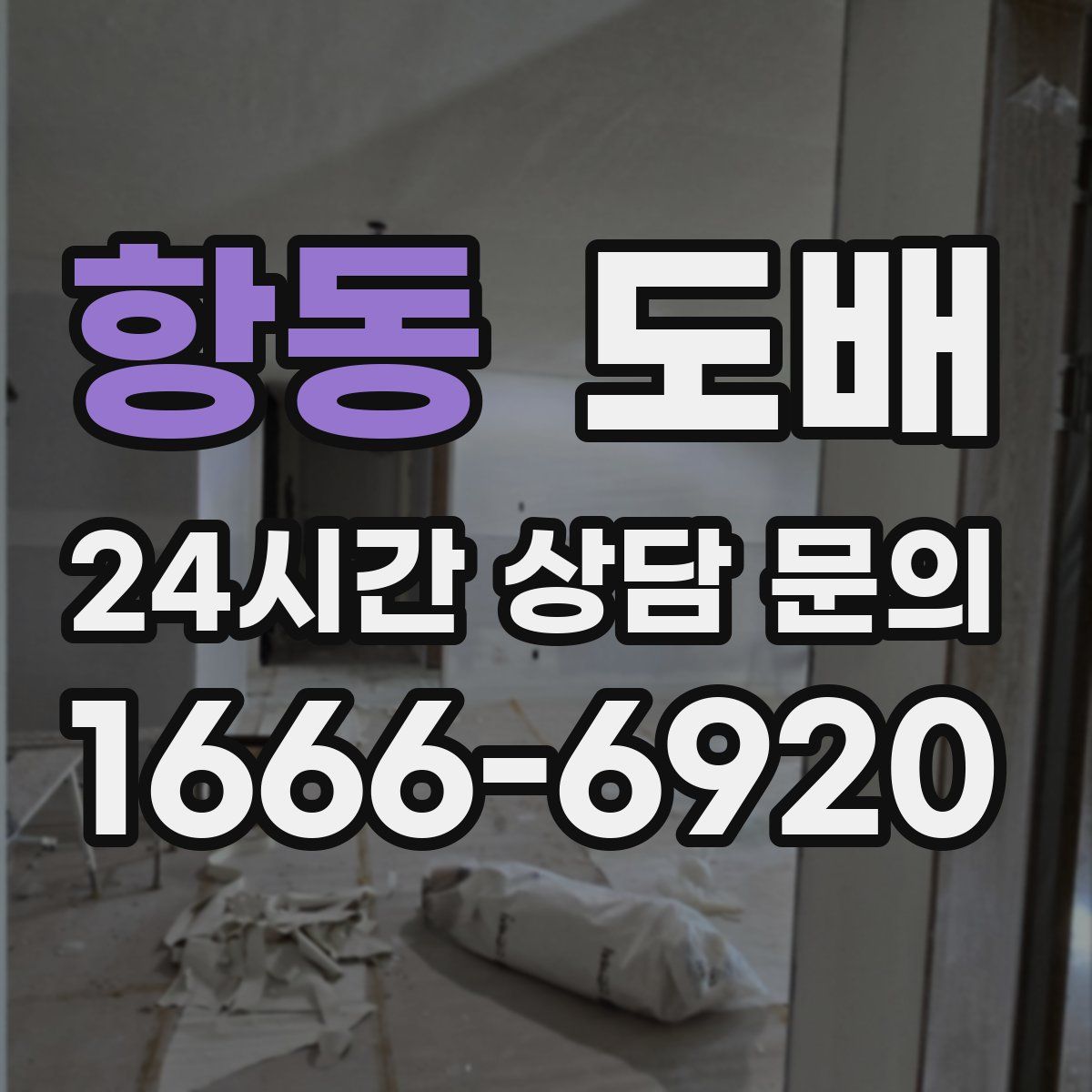 항동 도배