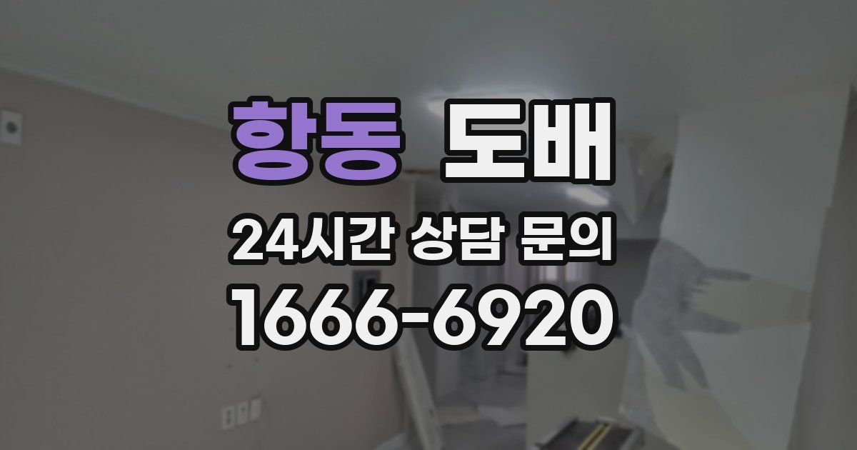 항동 도배