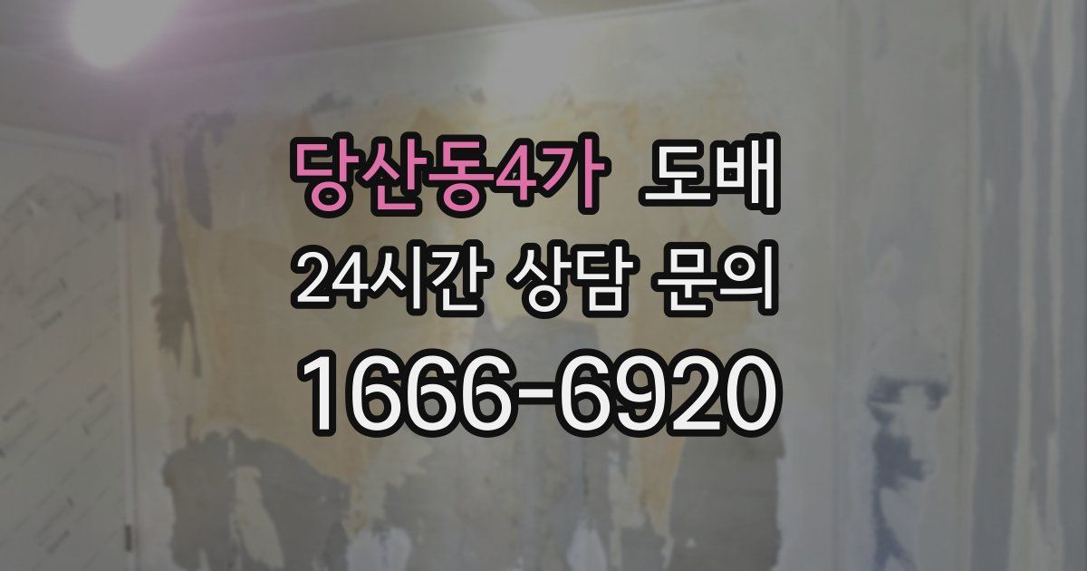당산동4가 도배
