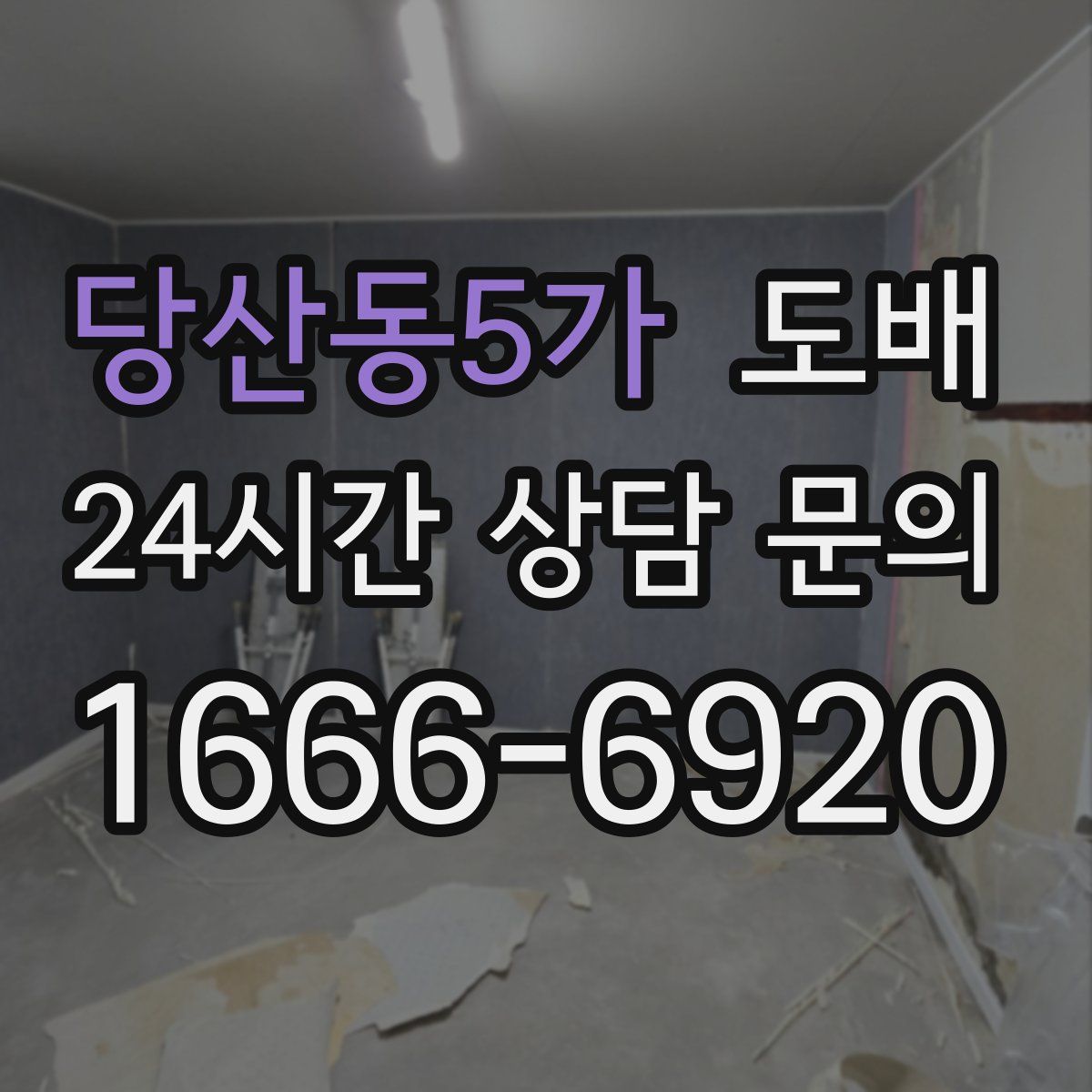 당산동5가 도배