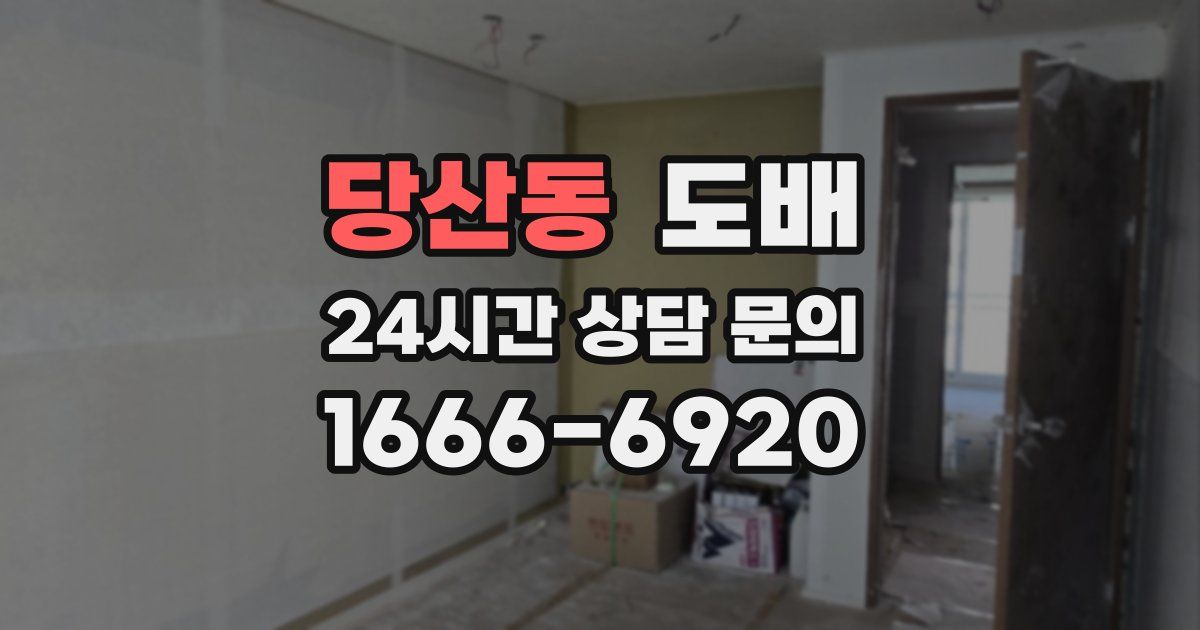 당산동 도배