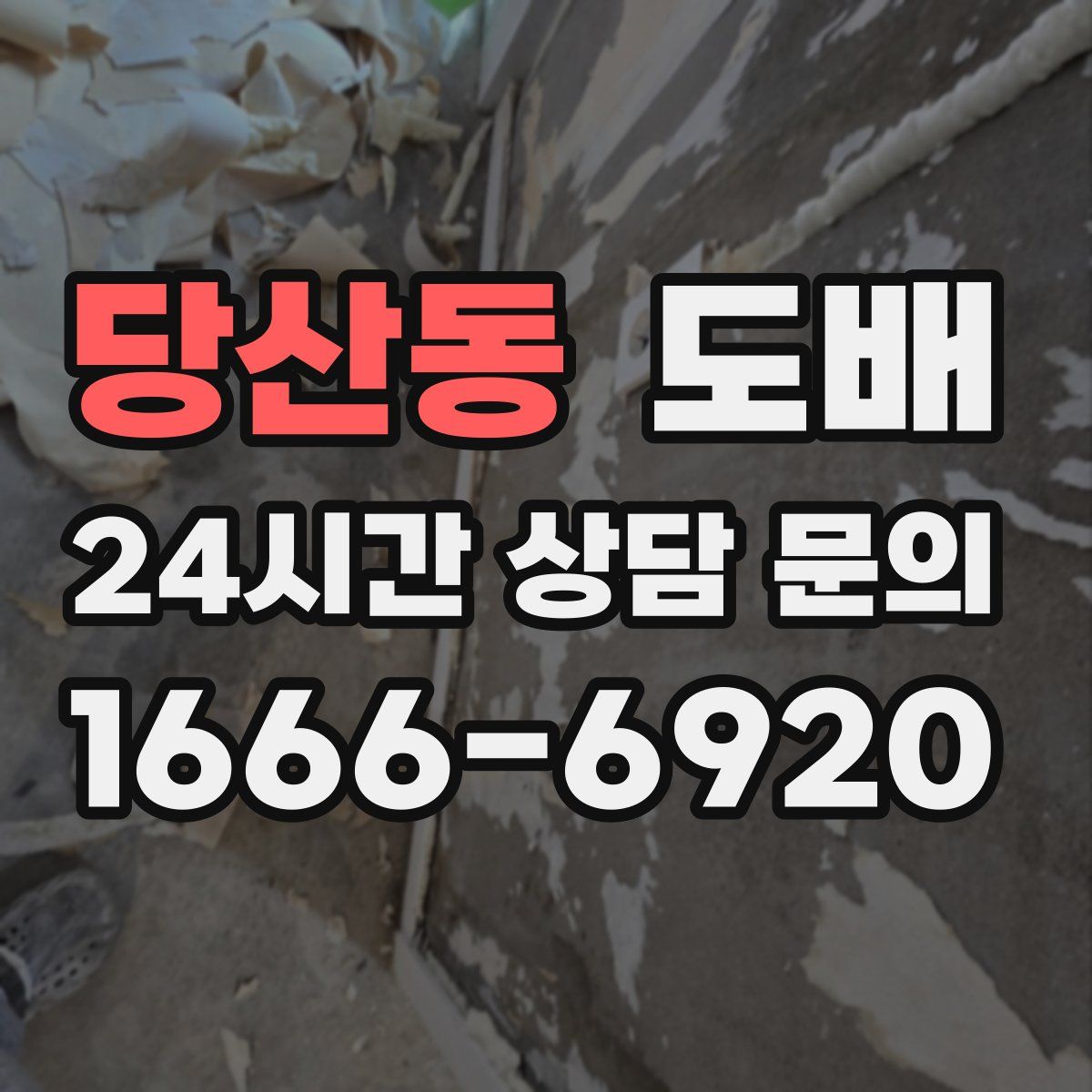 당산동 도배